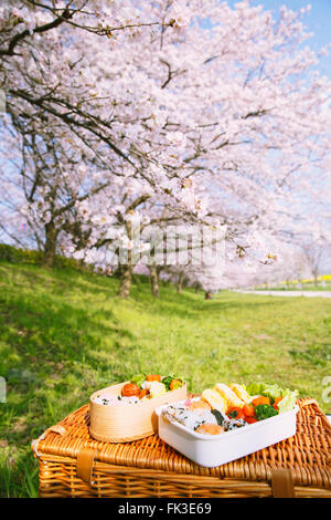 Bento unter den Kirschblüten Stockfoto