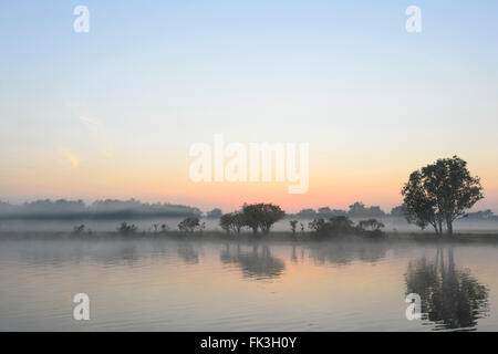 Sunrise-Kreuzfahrt, gelb Wasser Billabong, Kakadu-Nationalpark, Northern Territory, NT, Australien Stockfoto