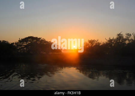 Sunrise-Kreuzfahrt, gelb Wasser Billabong, Kakadu-Nationalpark, Northern Territory, NT, Australien Stockfoto