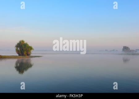 Sunrise-Kreuzfahrt, gelb Wasser Billabong, Kakadu-Nationalpark, Northern Territory, NT, Australien Stockfoto