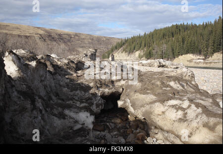 Schmutzige Eis und Schnee am Ufer des Bow River im Glenbow Ranch Provincial Park (Alberta, Kanada). Stockfoto