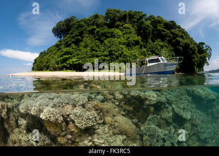 Maß an Tauchboot in Restoff Insel gesunde Korallenriff steigt ganz nach oben und die Tropfen Angeberei aufgeteilt. Ein Paradies für Taucher mit Top Artenvielfalt. Stockfoto