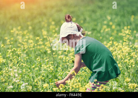 Kleines Mädchen auf der Wiese Blumen pflücken Stockfoto