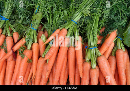 Trauben von Bio-Karotten am Marktstand Stockfoto