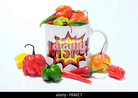 Scotch Bonnet Chili peppers Stockfoto