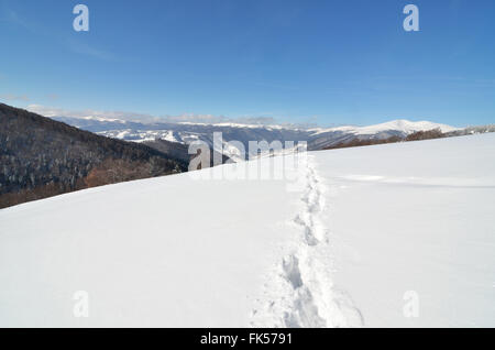 Spuren im Tiefschnee. Karpaten Stockfoto