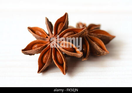 Sternanis-Gewürz, schoss mit einem Makro-Objektiv Stockfoto