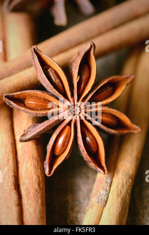 Sternanis-Gewürz, schoss mit einem Makro-Objektiv Stockfoto
