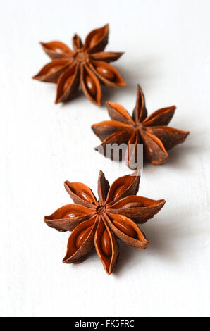Sternanis-Gewürz, schoss mit einem Makro-Objektiv Stockfoto