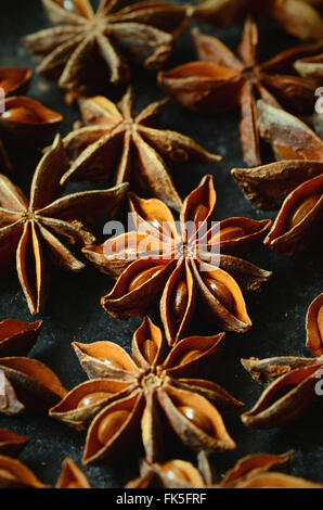 Sternanis-Gewürz, schoss mit einem Makro-Objektiv Stockfoto