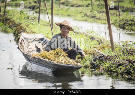 Landwirte in den schwimmenden Gärten am Inle-See, in der Nähe von Nyaungshwe, Shan State in Myanmar (Burma), Asien Stockfoto