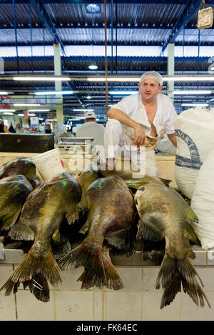 Fischhändler in Belem Fischmarkt im Amazonas, Para, Brasilien, Südamerika Stockfoto