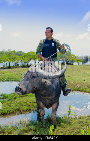 Bewaffnete Polizisten auf Büffel wieder auf der Insel Marajó im brasilianischen Amazonas, Para, Brasilien, Südamerika Stockfoto