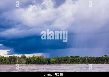 Amazonas-Regenwald Sturm, Coca, Ecuador, Südamerika Stockfoto