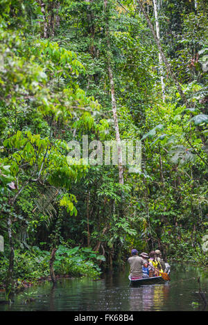 Einbaum Kanu Bootsfahrt in den Amazonas-Regenwald, Coca, Ecuador, Südamerika Stockfoto