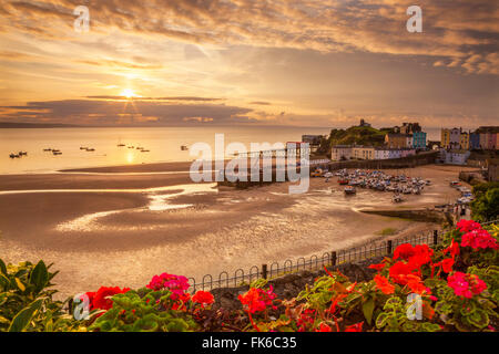 Tenby, Pembrokeshire, Wales, Vereinigtes Königreich, Europa Stockfoto