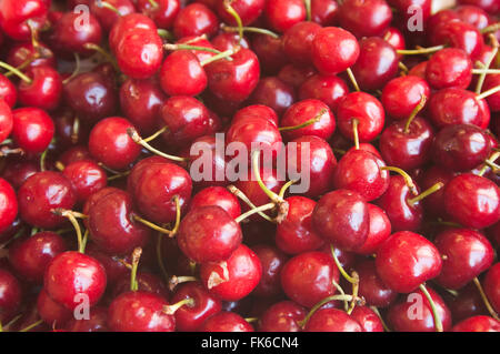 rote Kirschen Stockfoto