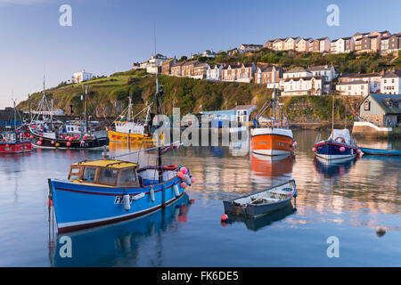 Kornische Angelboote/Fischerboote in Mevagissey Hafen bei Sonnenaufgang, Cornwall, England, United Kingdom, Europe Stockfoto