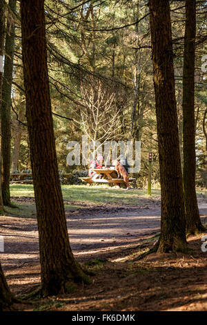 Leuchtfeuer fiel, Lancashire, UK. 7. März 2016. Großbritannien Wetter. Ein heller, sonniger Frühlingstag lockte Wanderer, bei Beacon fiel in Lancashire heute, aber die Sonne ist nicht erwartet. Bildnachweis: Paul Melling/Alamy Live-Nachrichten Stockfoto