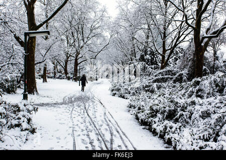 Winter in einem Park in Düsseldorf, Nordrhein-Westfalen, Deutschland Stockfoto