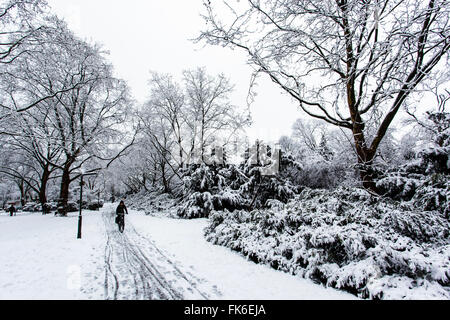 Winter in einem Park in Düsseldorf, Nordrhein-Westfalen, Deutschland Stockfoto