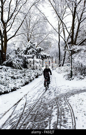 Winter in einem Park in Düsseldorf, Nordrhein-Westfalen, Deutschland Stockfoto