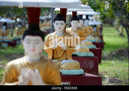 Buddha-Statuen neben einem Bo-Baum in Maha Bodhi Ta Htaung, 1000 große Bo Bäume, Monywa Township, Sagaing Division gepflanzt Stockfoto