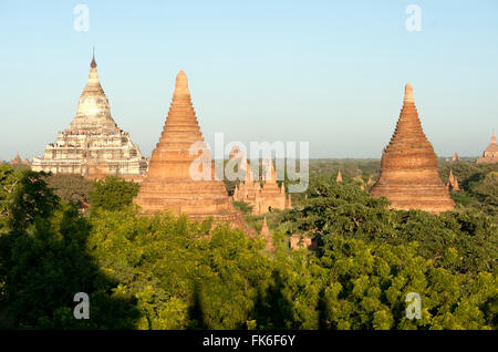 Terrakotta-Tempel von Bagan, gegründet im 9. Jahrhundert, in der späten Nachmittag Sonne, Bagan (Pagan), Mandalay-division Stockfoto