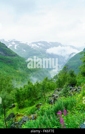 Wasserfälle und Bergtäler gesehen von Vatnahalsen, erreicht durch die Flåmsbahn, Flamsbana, Flam, Norwegen, Skandinavien Stockfoto