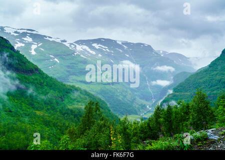 Ein Blick auf Wasserfälle und Wald von Flam Railway, Flamsbana, Flam, Norwegen, Skandinavien, Europa Stockfoto