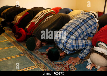 Naqshbandi Muslime beten, Bobigny, Seine-Saint-Denis, Frankreich, Europa Stockfoto