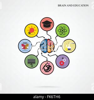 Infografik Vorlage kreative Gehirnhälfte Bildung und Wissenschaft-Konzept, Design für Plakat Flyer Abdeckung Broschüre, Geschäftsidee. Stock Vektor