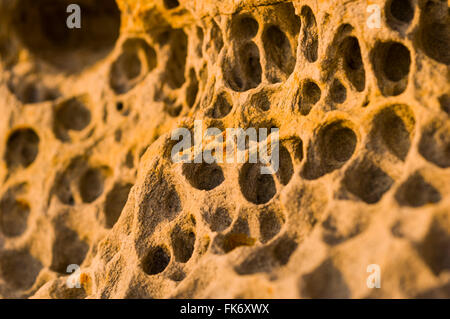 Details der Felsen am Strand von Elgol, Isle Of Skye, Highlands, Schottland, Vereinigtes Königreich Stockfoto