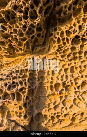 Details der Felsen am Strand von Elgol, Isle Of Skye, Highlands, Schottland, Vereinigtes Königreich Stockfoto