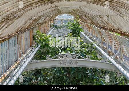 London, Vereinigtes Königreich - 6. April 2015: Palmenhaus in Kew Gardens, London. Experten halten es für die wichtigsten survivi Stockfoto