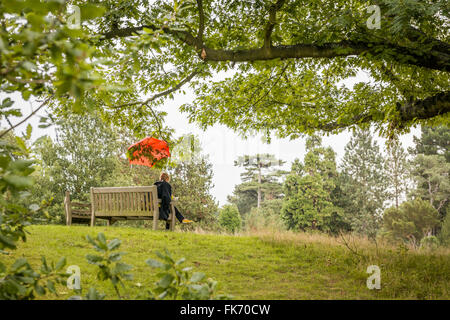 Lesung unter Dach an einem regnerischen Tag in einem park Stockfoto