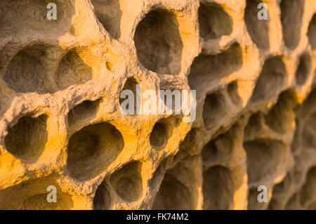 Details der Felsen am Strand von Elgol, Isle Of Skye, Highlands, Schottland, Vereinigtes Königreich Stockfoto