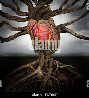 Menschenherz Gesundheitskonzept als Symbol für den Anbau von einem Organ des Körpers und die Venen und Arterien des Herz-Kreislauf-Systems als ein Körperteil Wattierung Baumwurzeln und Zweige als medizinische Metapher für das Leben miteinander verbunden. Stockfoto