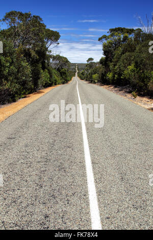 Landstraße in Flinders Chase Nationalpark auf Kangaroo Island, South Australia, Australien. Stockfoto