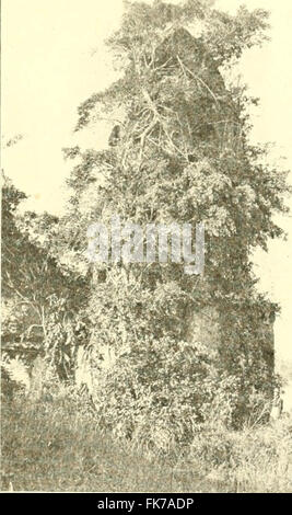 "Elemente der philippinischen Landwirtschaft" (1908) Stockfoto