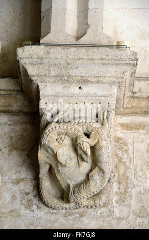 Ineinander verschlungene oder kämpfen Salamander c12th romanische Carving Kreuzgänge Montmajour Abtei in der Nähe von Arles Provence Frankreich Stockfoto