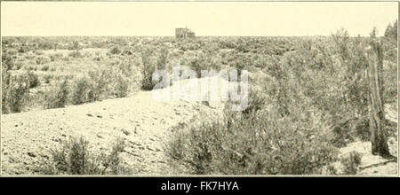 "Elemente der philippinischen Landwirtschaft" (1908) Stockfoto