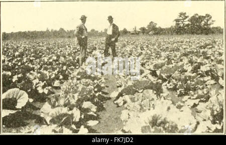 "Elemente der philippinischen Landwirtschaft" (1908) Stockfoto