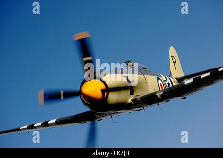 Britische Hawker Sea Fury Kämpfer Flugzeug Stockfoto