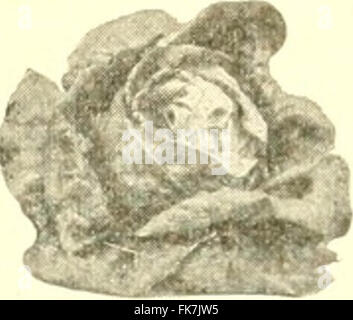 "Elemente der philippinischen Landwirtschaft" (1908) Stockfoto