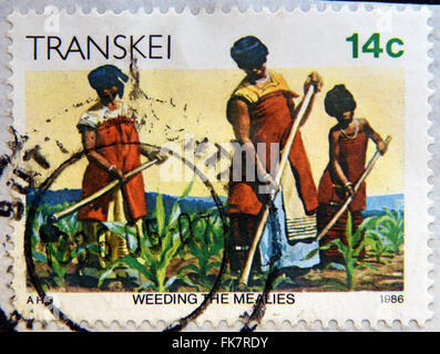 REPUBLIC OF SOUTH AFRICA - CIRCA 1986: Eine Briefmarke gedruckt in Transkei zeigt Frauen Jäten Mealies, ca. 1986 Stockfoto