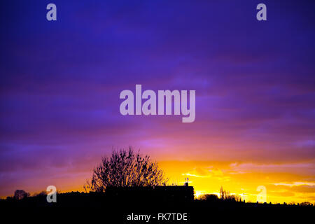 London, UK. 7. März 2016. UK-Wetter: Einen atemberaubenden Sonnenuntergang auf Nord-London, erfüllten suburban Baum und Häuser im Vordergrund. Bildnachweis: Dinendra Haria/Alamy Live-Nachrichten Stockfoto