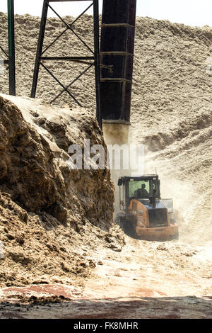 Patio Zuckerrohr Bagasse für KWK-Power plant in Alkohol und Zucker auf dem Lande Stockfoto