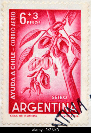 Argentinien - ca. 1960: Briefmarken gedruckt in Argentinien zu helfen, die Chile Kapok Blume, Erythrina Cristagalli zeigt gewidmet, Stockfoto