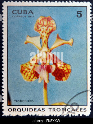 Kuba - ca. 1971: Eine Briefmarke gedruckt in Kuba gewidmet tropischen Orchideen zeigt Vanda Tricolor, ca. 1971 Stockfoto